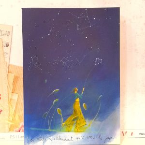 Quadernino - Costellazioni'
